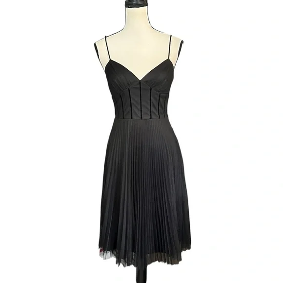 Vintage Betsey Johnson New York Sheer Mesh & Velvet Goth Vamp Corset Style Dress - Picture 2 of 9